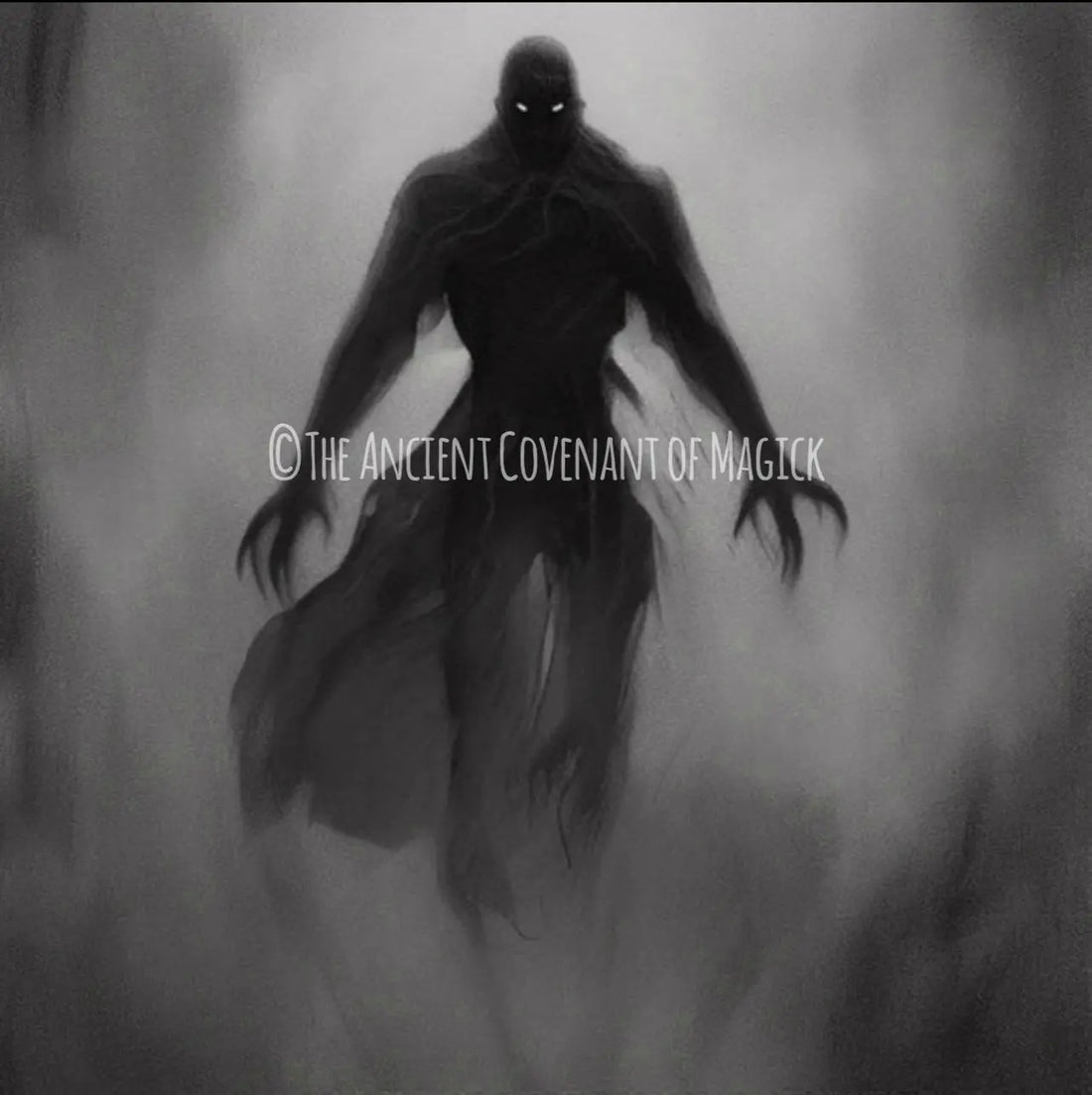 How to Care for Spirit Companions Appropriately? - My Store