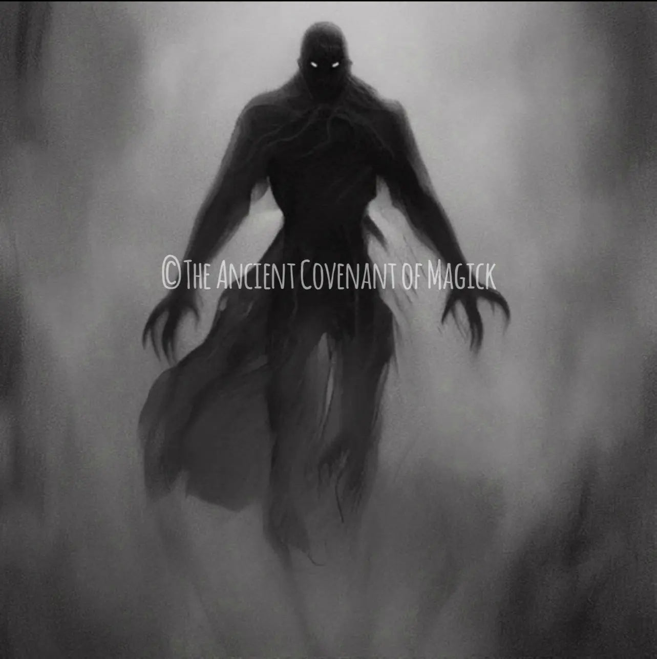 How to Care for Spirit Companions Appropriately? - My Store