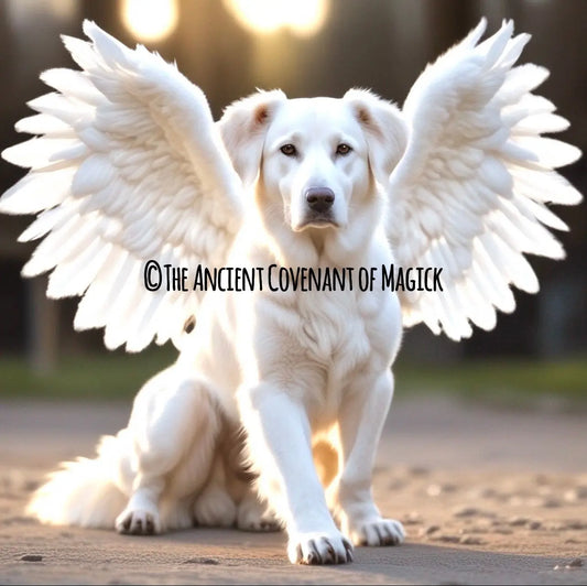 Celestial Canine Spirit Companion - A Divine Guardian of Pure Angelic Light - My Store